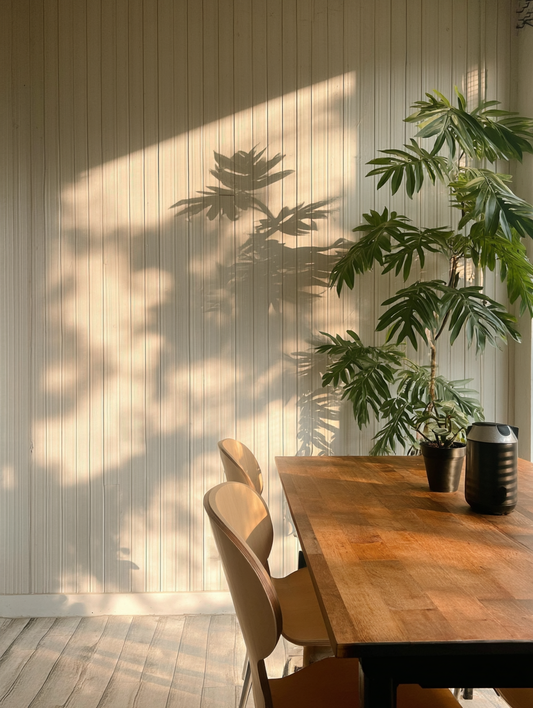 A Quiet Morning Glow in a Sun-Drenched Minimalist Kitchen